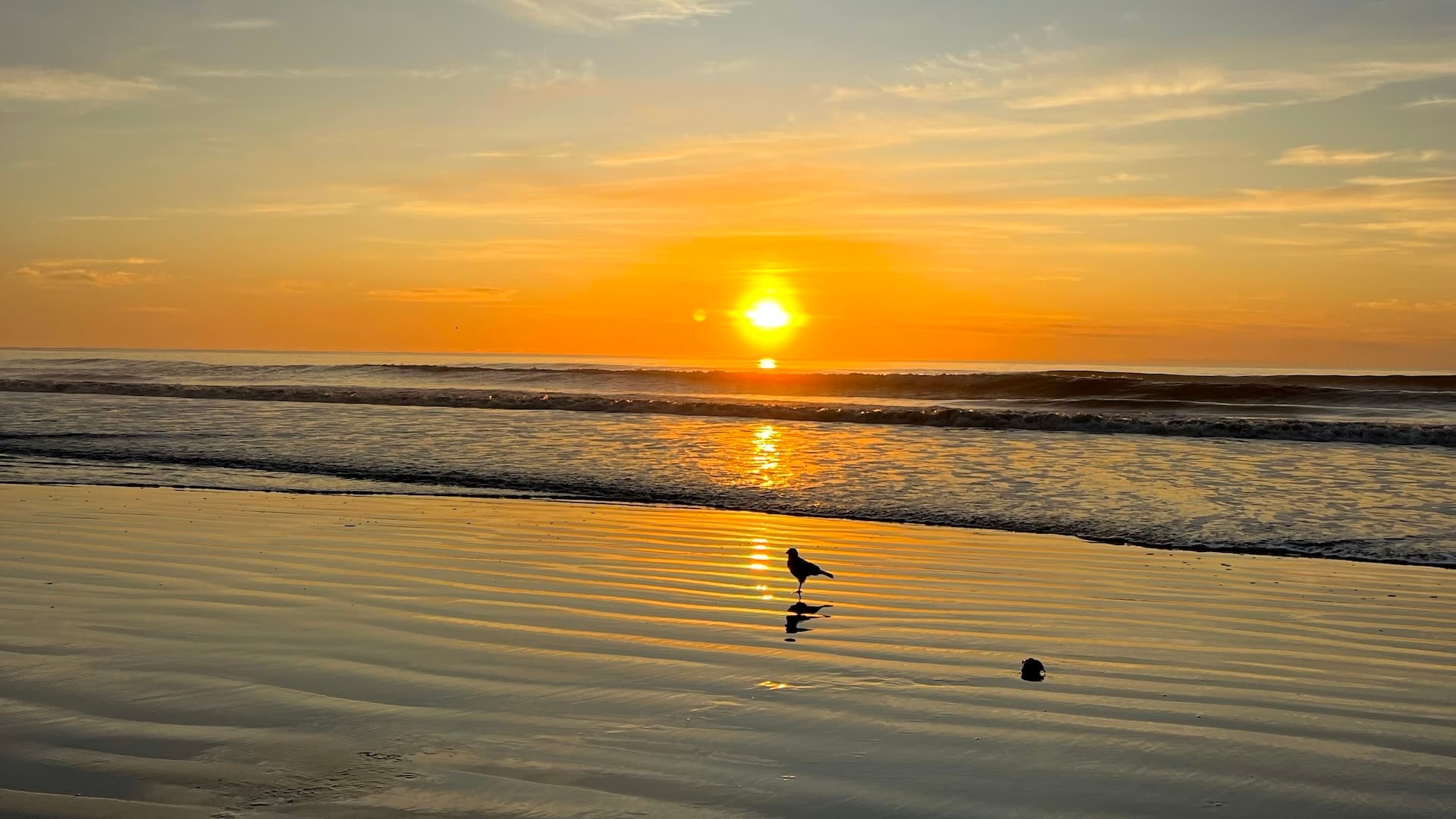 Ubicación Costa del Este