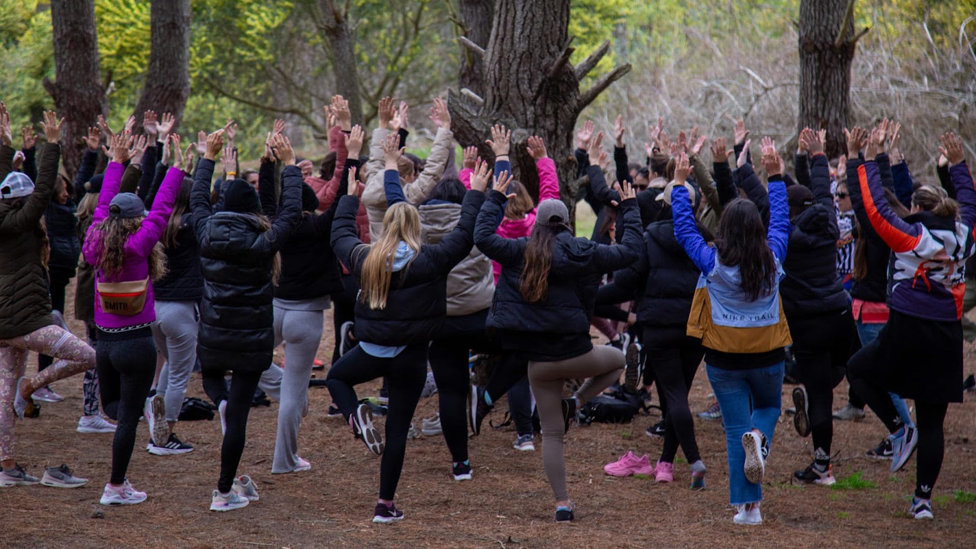 Actividades Costa del Este